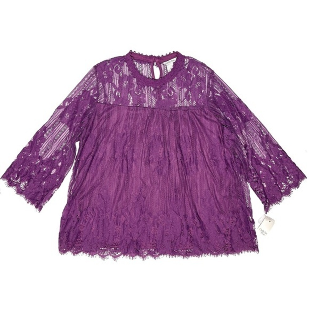 NEW! Purple Lace Blouse Lined Ophelia Roe Fairy Romantic Feminine Size 2X